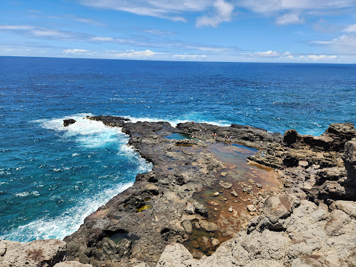 Olivine Pools - Photo 1