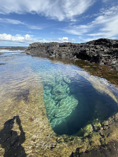 Olivine Pools - Photo 3