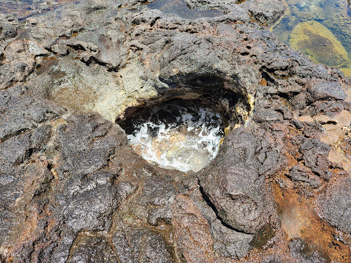 Olivine Pools - Photo 6