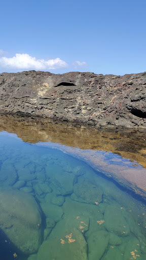 Olivine Pools - Photo 8