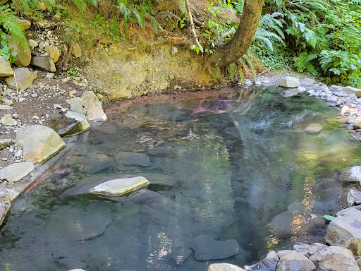 Olympic Hot Springs - Photo 2