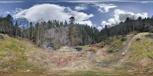 Olympic Hot Springs - Photo 4
