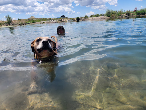 Panaca Warm Springs - Photo 3