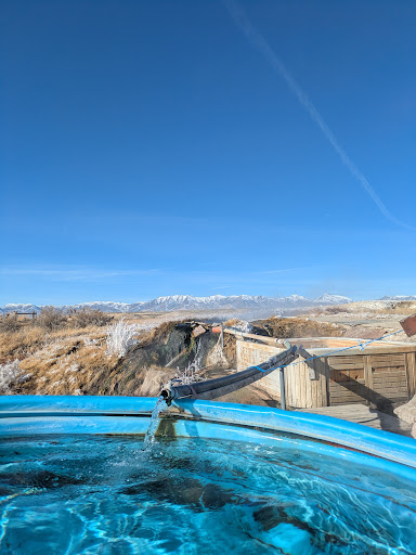 Paradise Valley Hot Springs - Photo 3