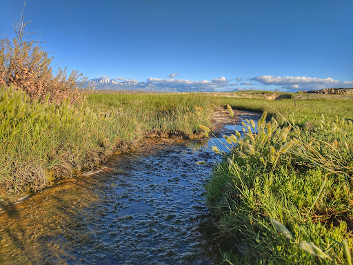 Paradise Valley Hot Springs - Photo 8