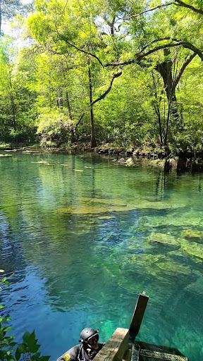 Peacock Springs - Photo 2