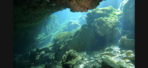 Peacock Springs - Photo 3