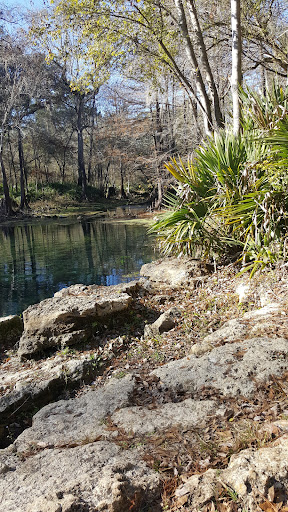 Peacock Springs - Photo 5