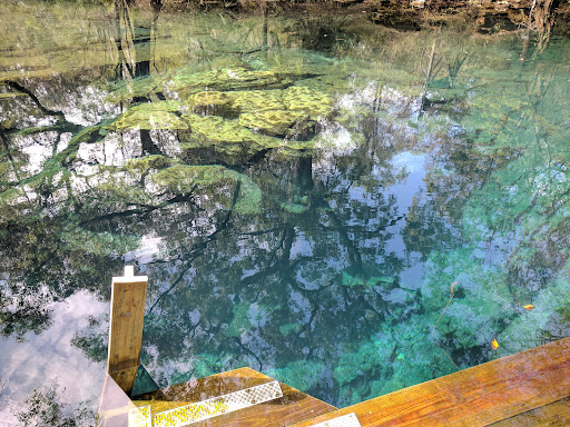 Peacock Springs