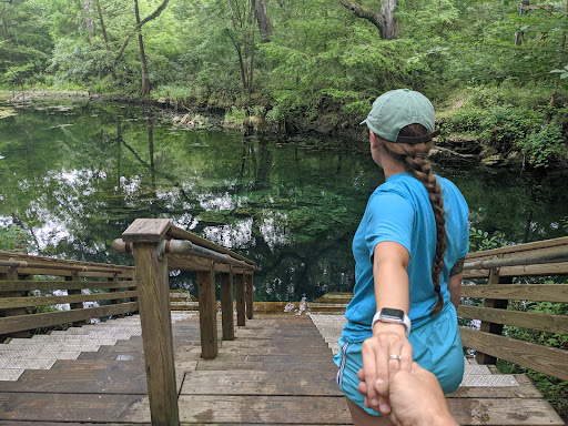 Peacock Springs - Photo 8