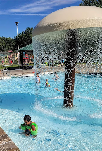 Peerless Mineral Water Pool New York - Photo 1