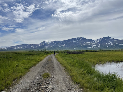 Pilgrim Hot Springs - Photo 6