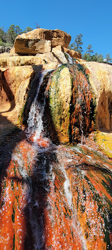 Pinkerton Hot Springs - Photo 3
