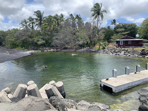 Pohoiki Warm Spring - Photo 3