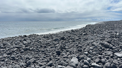Pohoiki Warm Spring - Photo 4