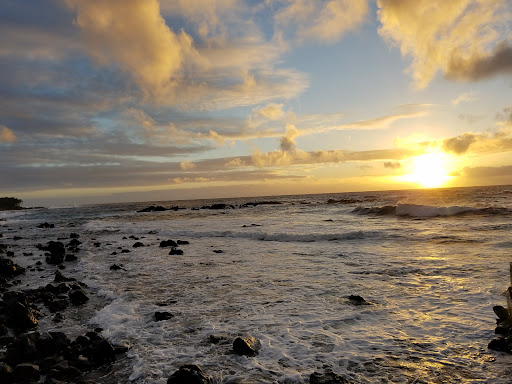Pohoiki Warm Spring - Photo 5