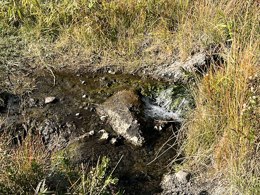 Polecat Hot Springs - Photo 7