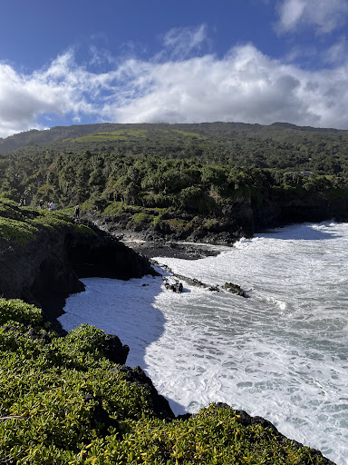Pools of ʻOheʻo - Photo 4