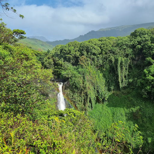 Pools of ʻOheʻo - Photo 6