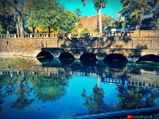 Radium Springs - Photo 1