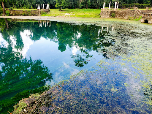 Radium Springs - Photo 2