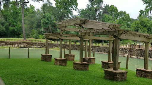 Radium Springs - Photo 3