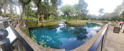 Radium Springs - Photo 4