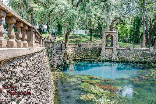 Radium Springs - Photo 5