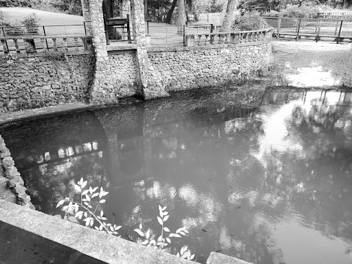 Radium Springs - Photo 8