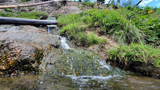 Rainbow Hot Springs - Photo 3