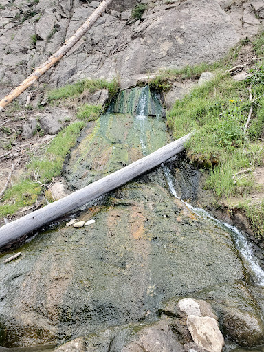 Rainbow Hot Springs - Photo 4