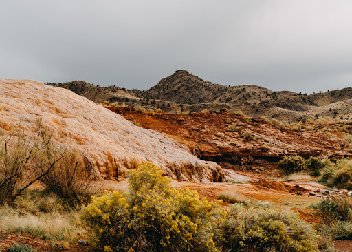 Red Hill Hot Springs - Photo 6