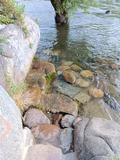 Remington Hot Springs - Photo 7