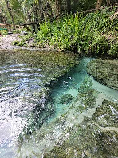 Rock Springs (Kelly Park) - Photo 1