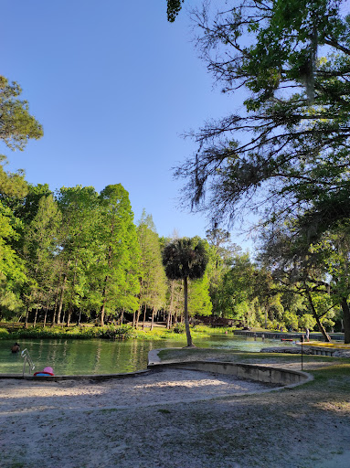 Rock Springs (Kelly Park) - Photo 4