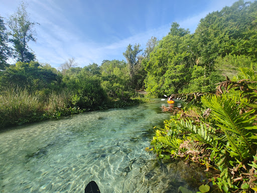Rock Springs (Kelly Park) - Photo 5