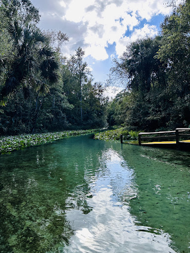 Rock Springs (Kelly Park) - Photo 7