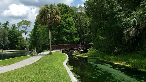 Rock Springs (Kelly Park) - Photo 8