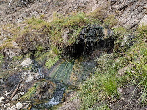 Rocky Canyon Hot Springs - Photo 3