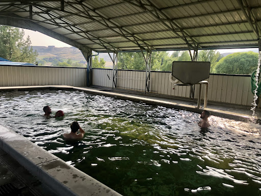 Roystone Hot Springs - Photo 3