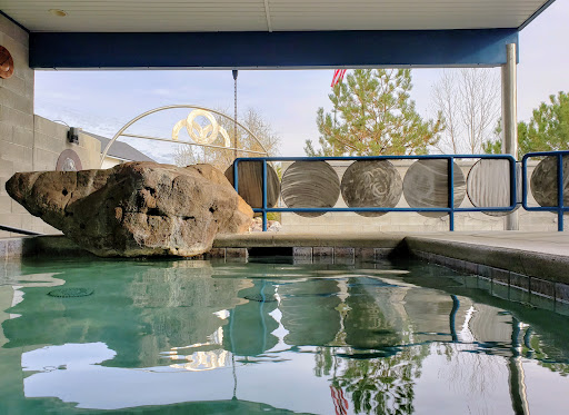 Roystone Hot Springs - Photo 5