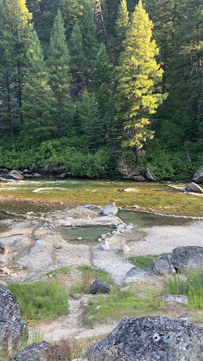 Sacajawea Hot Springs - Photo 7