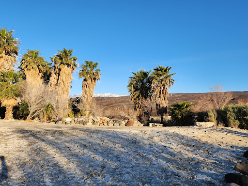 Saline Hot Springs - Photo 6