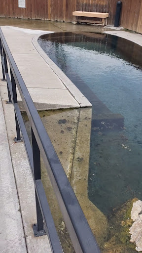 Saratoga Hobo Hot Springs - Photo 2