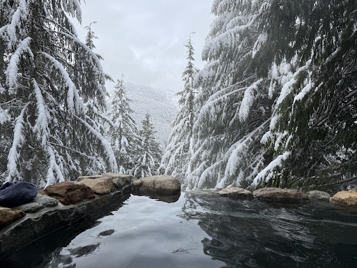 Scenic Hot Springs - Photo 1