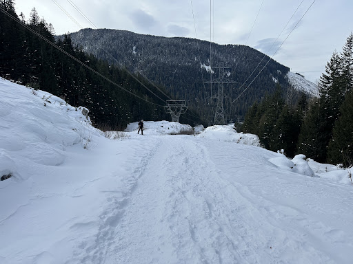 Scenic Hot Springs - Photo 4