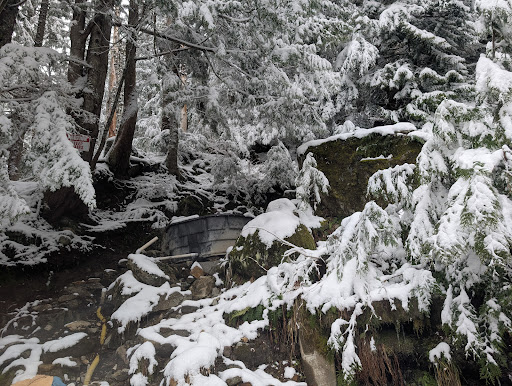 Scenic Hot Springs - Photo 6