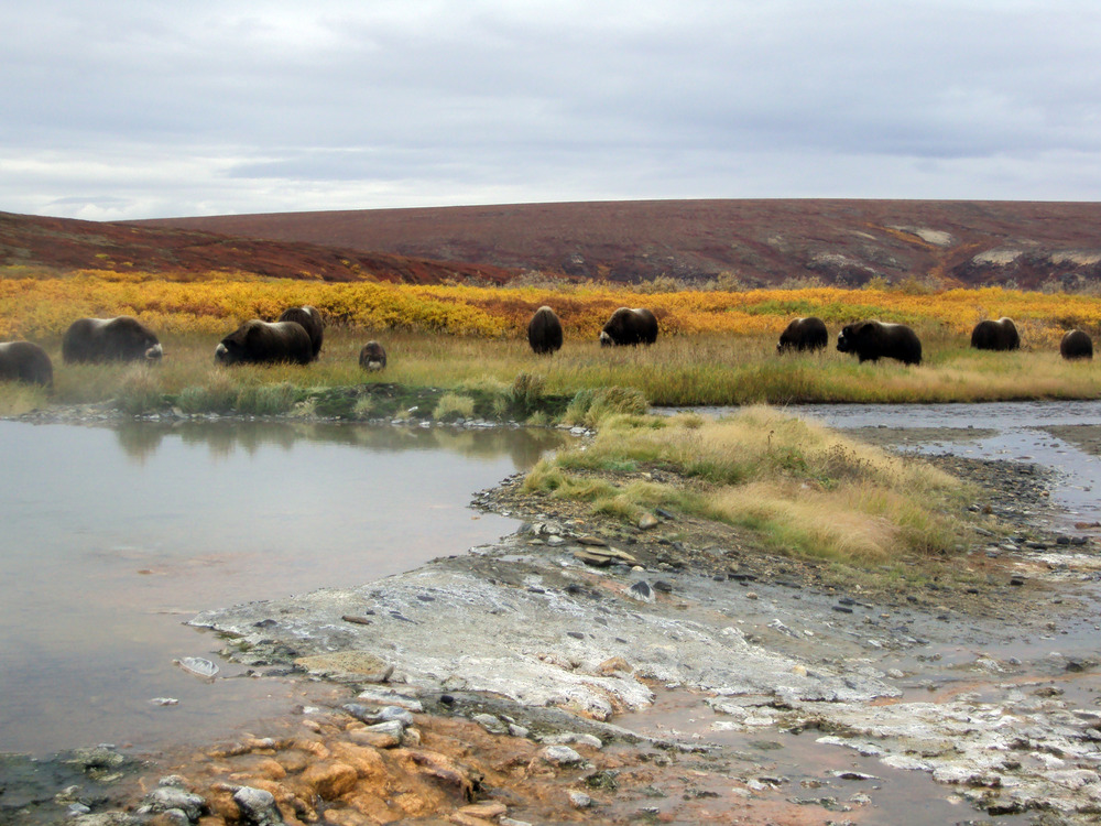 Serpentine Hot Springs