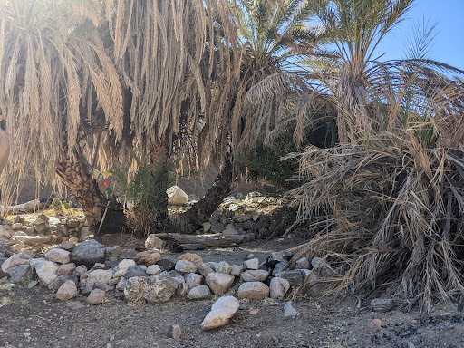 Sespe Hot Springs - Photo 7