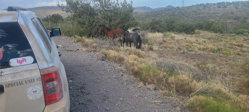 Sheep Bridge Hot Springs - Photo 3